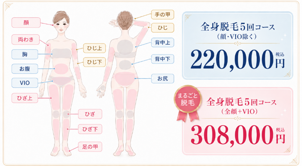 料金表セクション ヘッダー画像